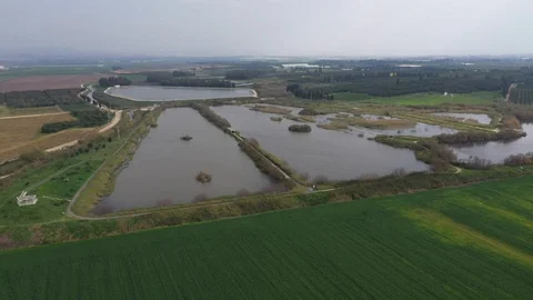 Crane down wheat field and reed Stock Footage 125911577