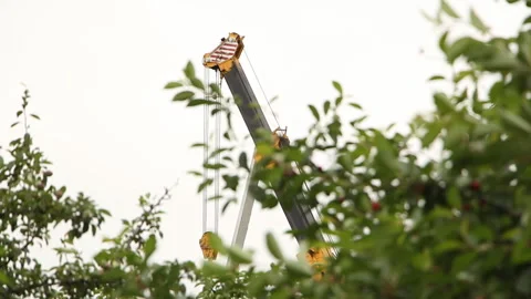 A crane drags a pole around the trees Stock Footage 254823369