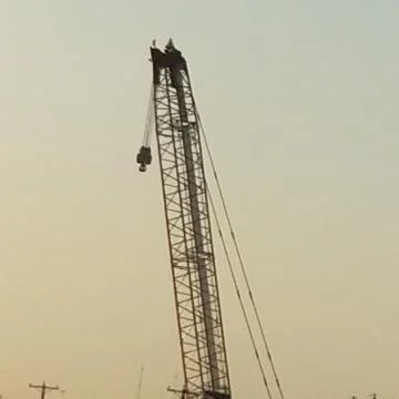 Crane on a dusky day Stock Photos