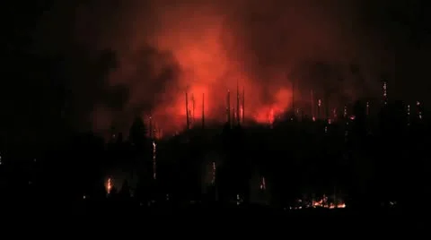 Crane Flat Fire in Yosemite National Park Stock Footage