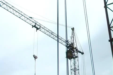 Crane Stock-Footage 8917813