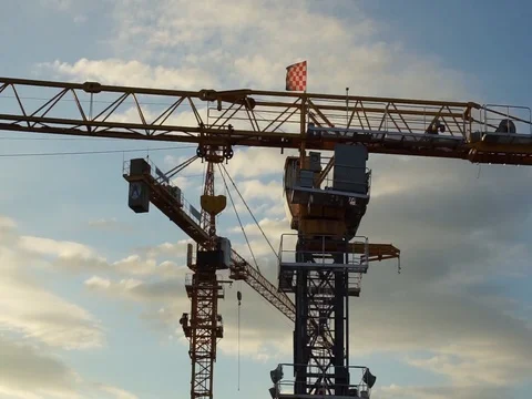 The crane Stock Footage 124105248