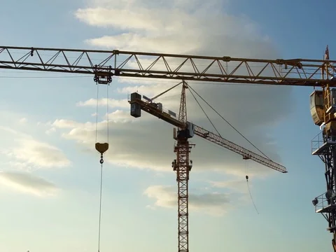 The crane Stock Footage 124105254
