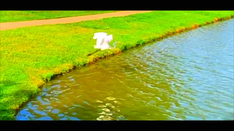 Crane Vídeos de archivo 130487090