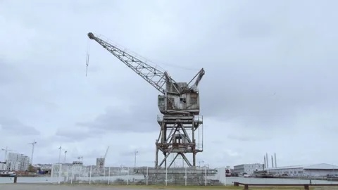 Crane Stock Footage 141384965