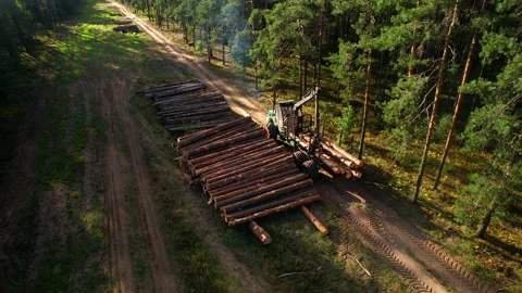 Crane forwarder machine during clearing of forested land. deforestation. Stock Footage 219808079