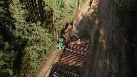 Crane forwarder machine during clearing of forested land. Stock Footage 221515670