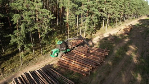 Crane forwarder machine during clearing of forested land. Stock Footage 221515671