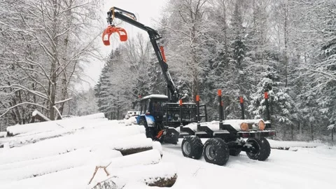 The crane head is lowered to grab the logs and load them into the trailer Stock Footage 169548821