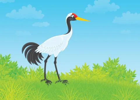 Crane Stock Illustration
