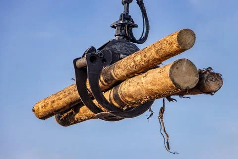 A crane with jaws loads trunks of tree, on blue background. Stock Photos