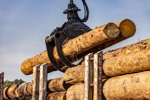 A crane with jaws loads trunks of tree into wagons Stock-Fotos