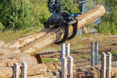 A crane with jaws loads trunks of tree into wagons Stock Photos
