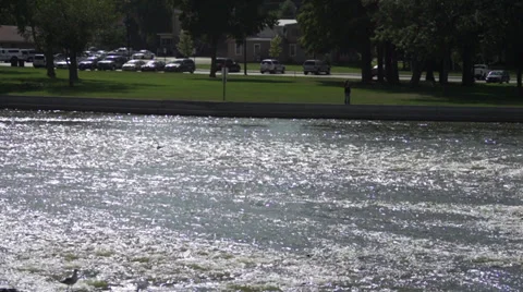 Crane landing on river - 60fps Stock Footage 33755631