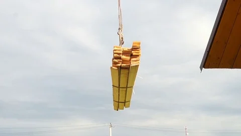 A crane is lift up a tree Stock Footage 79881053