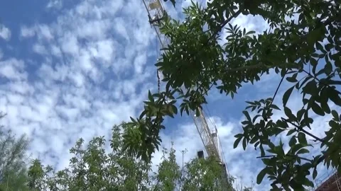 Crane Lifting Building Materials Seen Through Tree Leaves, Phoenix AZ Stock Footage 162096835