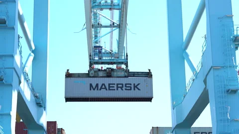 Crane lifting a cargo shipping container Stock Footage 171590841