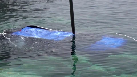 Crane Lifts Crashed Car From River And Water Drips On It. Car falls and drowning Vidéo 130386401