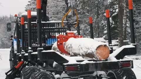 The crane loaded the first log into the trailer in the winter forest Stock Footage 169548746