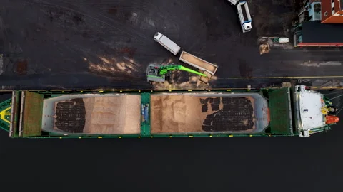 Crane loading cargo ship with wood chips at port Stock Footage 297055861