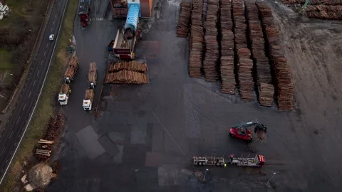 Crane loading logs onto truck at lumber yard Stock Footage 297054719