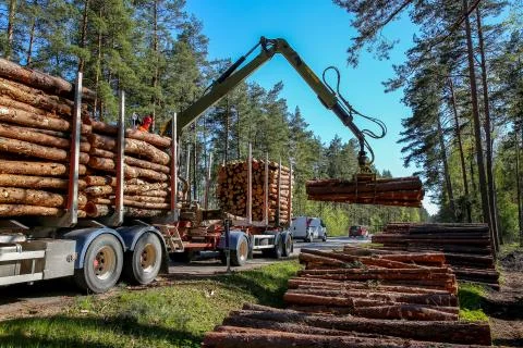 Crane loading logs in the truck. Stock Photos