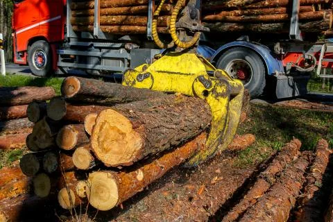Crane loading logs in the truck. Stock Photos
