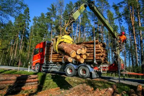 Crane loading logs in the truck. Stock Photos