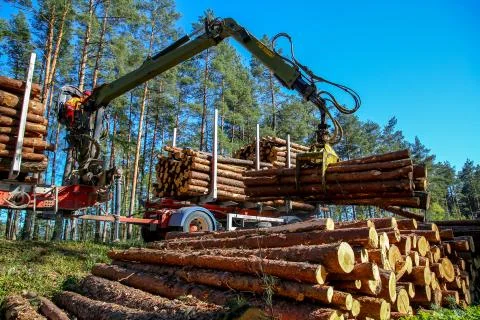 Crane loading logs in the truck. Stock Photos