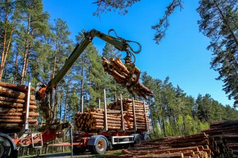 Crane loading logs in the truck. Stock Photos
