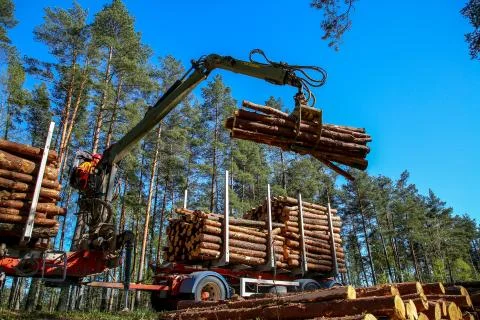 Crane loading logs in the truck. Stock Photos