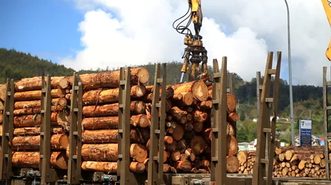 Crane loading Traine with timber Video stock 67207251