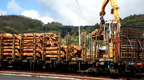 Crane loading Traine with timber Video stock 67207385