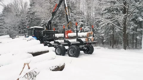 A crane loads two logs at once into a trailer in a snowy winter forest Stock Footage 169548790