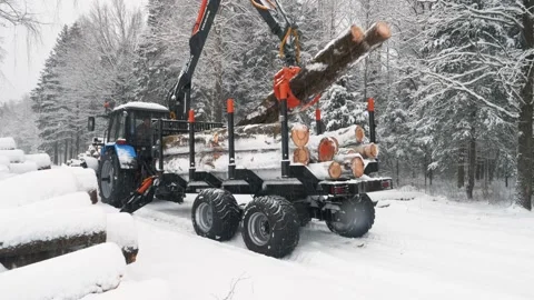 A crane loads two logs into a trailer in a snowy winter forest at once Stock Footage 169548914
