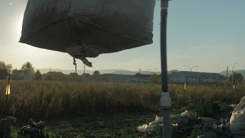 Crane moving farm vegetable bake Stock Footage 100401156