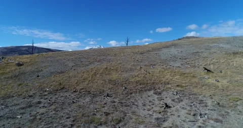 Crane up over a dry, clearcut mountain to a view of healthier ecosystems 動画素材 196182675