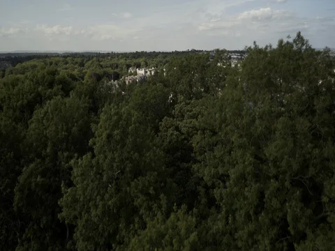 Crane Up Over Trees to Establish River Avon in Bristol, UK Stock Footage 77748635