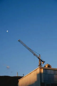 Crane Stock Photos