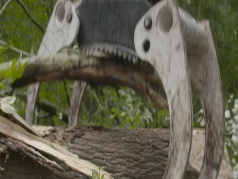 Crane picking up the fallen tree trunk Stock Footage 73686858