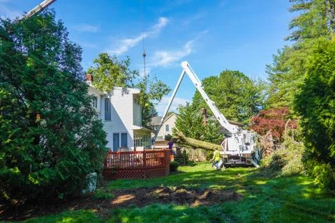 A crane is seen removing a large tree trunk from a house Stock Photos