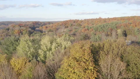 Crane shot Aerial of Autumn Trees in Columbia County NY Stockbeeldmateriaal 166328253