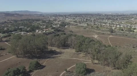 Crane Shot from below the Tree Line and Up to Revealing a Small City Video stock 68750854