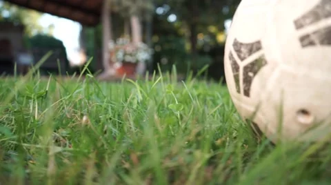 Crane shot between grass ball black and white Vídeos de archivo 42910018