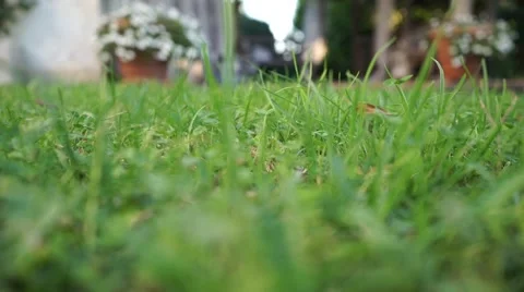 Crane shot between grass Vídeos de archivo 42909974