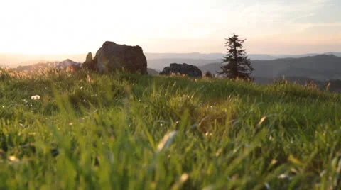 Crane shot of grassy field with view of rolling mountains 動画素材 22773669