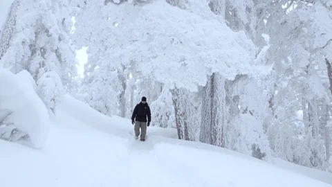 Crane shot of man in the cold forest covered with snow Stock Footage 86221820