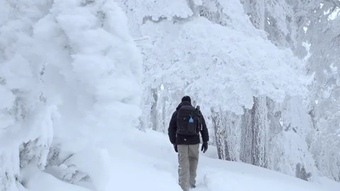 Crane shot of man entering the cold freezed and snowy forest Stock Footage 86221876
