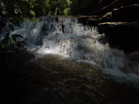 Crane shot in Ohio forest overlooking stream Stock Footage 77156814
