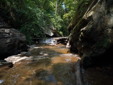 Crane shot in Ohio forest overlooking stream Stock Footage 77157857